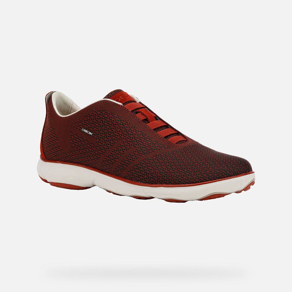 Basket Geox Nebula - Rouge - Homme 247581-QBM